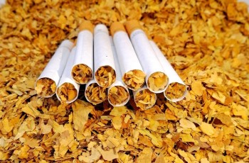 درآمد مالیاتی دولت از سیگار ۲ برابر بورس